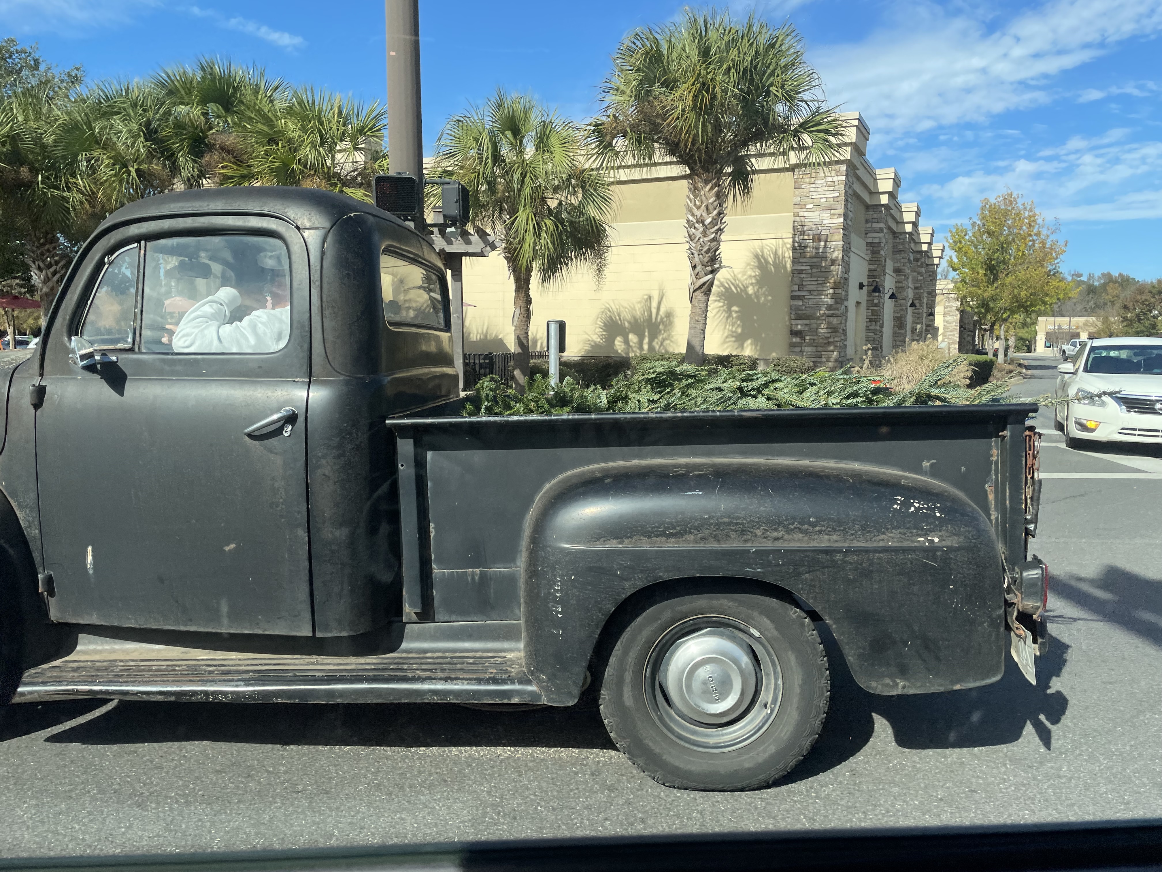 Vintage black truck hauling Christmas tree debris along a Tallahassee road