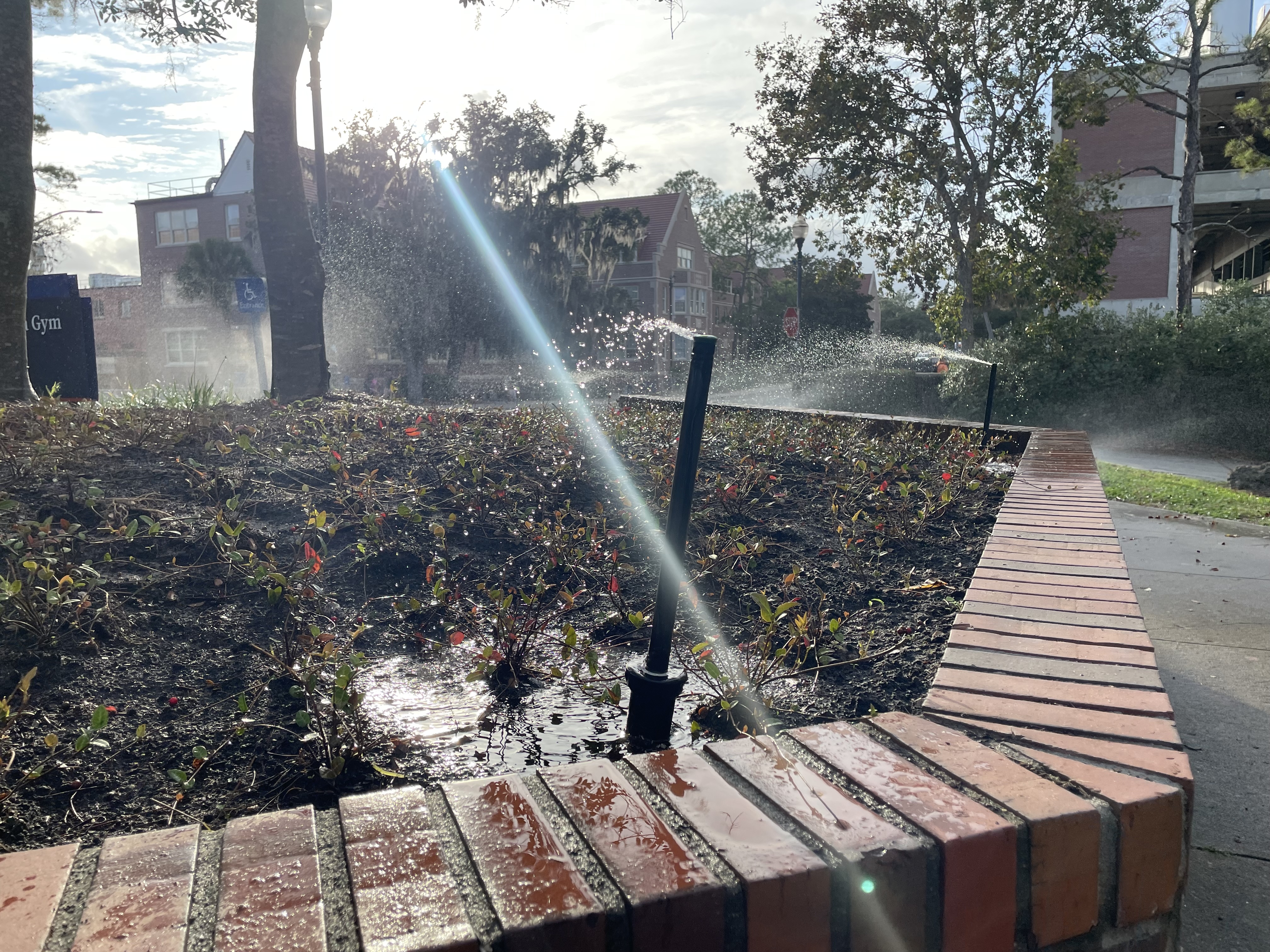 Sprinklers running on a rain-soaked flowerbed outside a building