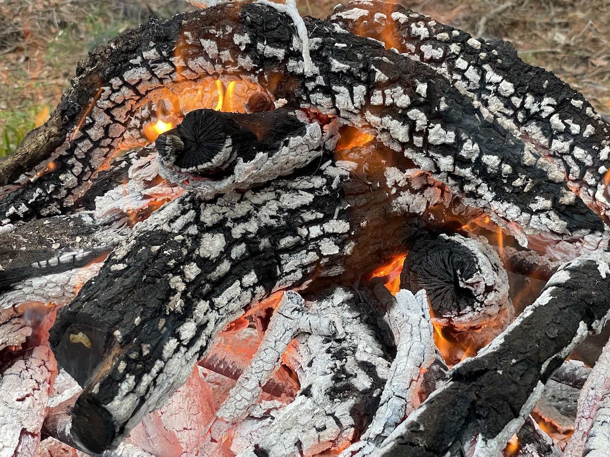 Controlled backyard burn of yard debris